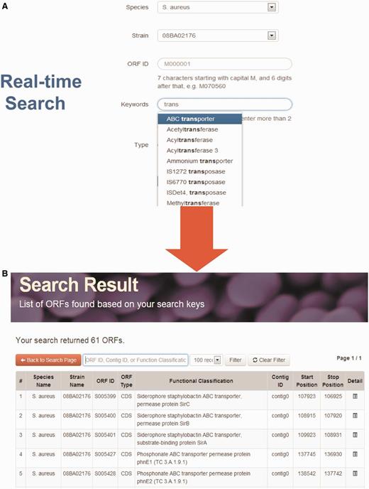 Real-time search function. (A) Users can search using different parameters. For example, they can search by keywords and a list of matches from the database will be displayed at the bottom in real-time. (B) Example of search output.