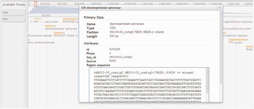Browser panel showing a genomic region associated with a gene encoding diaminopimelate epimerase and its neighbouring genes. CDS, DNA and RNA are shown in different tracks.