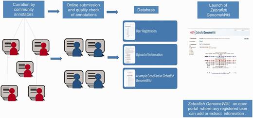 A schematic representation of the annotation protocol. The annotators were given a set of genes and a ready reference. The annotated entries were submitted through online media and were quality checked before upload.