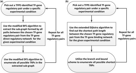  Construction of the YTRP database. The TRP mining procedures for automatically enumerating TRPs from the underlying networks. ( a ) The TRP mining procedure that enumerates all possible TRPs of the given TF-gene regulatory pair from the TF-gene direct regulatory network under different experimental conditions. ( b ) The TRP mining procedure that enumerates all possible shortest TRPs of the given TF-gene regulatory pair from the TF-gene binding network under different experimental conditions. 