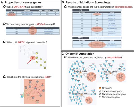 Examples of queries that can be done in NCG. Information stored in NCG can be used to address different queries regarding the properties of (A) individual cancer genes, (B) cancer types and (C) oncomiRs. Relevant information to address the specific queries is highlighted in orange.