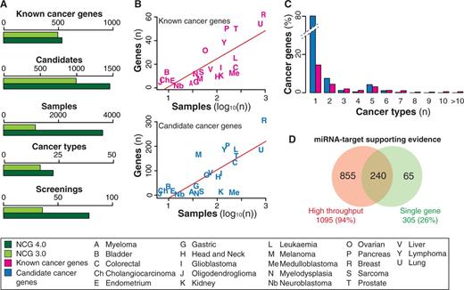 Overview of the data collected in NCG 4.0. (A) Comparison of data stored in NCG 3.0 and NCG 4.0. (B) Linear regression curves between the number of known and candidate cancer genes and the number of sequenced samples in each cancer type. Some cancer types deviate from linearity and this can be due to different reasons. For example, melanoma has a high number of candidate cancer genes (169) despite the low number of sequenced samples (41). In this case, the most likely explanation is that most of these candidate genes derive from two screenings (61, 75) that did not apply any methods to identify cancer drivers (Table 1, Supplementary Table S1). In the case of medulloblastoma, candidate and known cancer genes are only 25 despite 211 samples having been screened. This likely depends on the low mutation frequency of medulloblastoma [<1 mutation/Mb (40, 57, 64, 67)]. (C) Recurrence of known and candidate cancer genes in different cancer types. The only cancer genes that have been found mutated in more than 10 different cancer types are TP53 (20 cancer types), PIK3CA (13 cancer types) and PTEN (12 cancer types). (D) Comparison of cancer miRNA targets that have been identified using single gene (i.e. reporter assay, western blot) and high throughput approaches (i.e. microarray, proteomic experiments and next-generation sequencing).