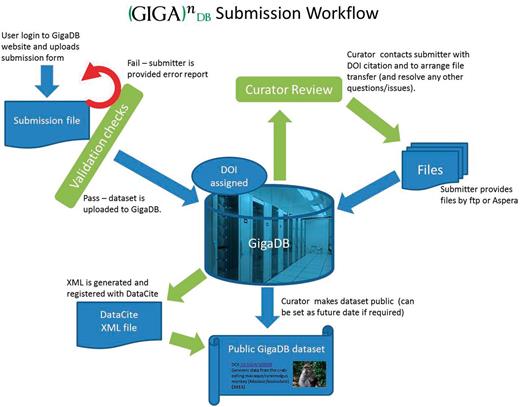 A simplified workflow of data through GigaDB from submission to presentation.