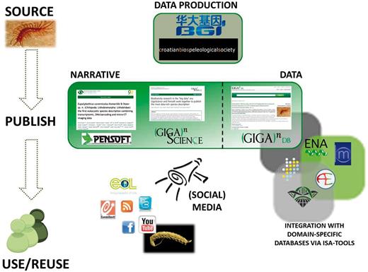 The integrated approach to data dissemination and attribution, using the example of the cyber-centipede data-rich species description.