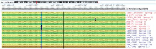 An example for the notations defined in our study. The aligned sequences at chr1: 51 952 487–51 952 587 around an hek4me3 element in liver are shown. Of the total two SNPs (highlighted in black) around the selected element, both were found in the configured group I (red) and neither was found in the configured group II (blue). Group I is considered as variable at this element because there are three sequence variations associated with strains A/J, CAST/Ei, PWK/Ph and WSB/Ei. In contrast, group II is invariable because all the aligned sequences of the group are identical.