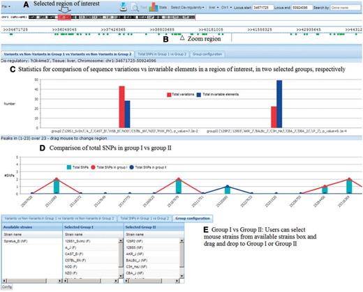 Tool to identify useful polymorphisms. (A) Users select region of interest; (B) Click ‘View’ to zoom into the region; (C) Statistics show the difference between total variations and nonvariations in each group; (D) Statistics show the total SNPs in each group and (E) Users can select mouse strains for each group.