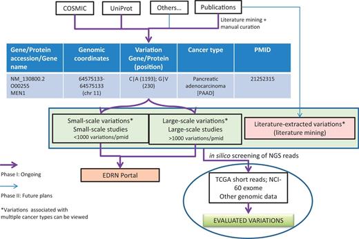 BioMuta data flow and utility in evaluating variations obtained from various cancers.
