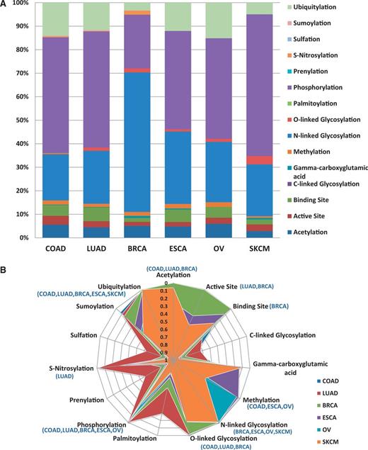 Loss of functional sites (PTM sites, active and binding sites). (A) Top six cancer types with the highest number of records in BioMuta. Lung adenocarcinoma (LUAD), colon adenocarcinoma (COAD), breast invasive carcinoma (BRCA), esophageal carcinoma (ESCA), ovarian serous cystadenocarcinoma (OV) and skin cutaneous melanoma (SKCM). (B) Statistical analysis of loss of functional sites show that for some cancer type–specific functional sites are less susceptible to variation (colored graph area almost touching the perimeter—where perimeter represents P-value close to 0).