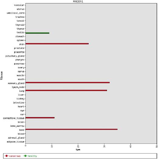 An example of a bar chart showing the integrated expression profile of the MAGEA1 gene. MAGEA1 exhibits a testis-restricted gene expression profile, but is aberrantly expressed in a number of cancer types. The expression is given in transcripts per million (tpm).