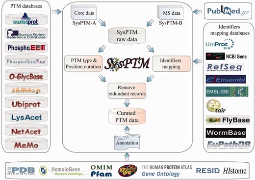 PTM data sources and process procedures employed by SysPTM2.0.
