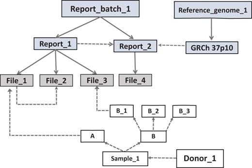 The basic arrangement of an EGDMS record. Files are grouped under reports and related reports are grouped under report batches. The source of the samples is the donor. Solid lines show group membership information with arrowheads pointing from the group title to the members. Dashed lines show data lineage relationships with arrowheads pointing from parents to children. The files File_1 and File_3 contain results from the same experiment; therefore, they are grouped under the same report (Report_1). The experiment was conducted using samples A and B_1, which originated from the donor Donor_1. File_2 is a normalized version of File_1 and does not have a direct link to a sample, but it is linked as a child to File_2 and grouped under the same report. This arrangement extends the relationships of File_1 to File_2. Report_2 contains the results (File_4) of a bioinformatics analysis conducted using the files in the Report_1. Therefore, Report_2 is a child of Report_1. Report_2 uses a reference genome connected to a report (GRCh 37p10) in the report batch called Reference_genome_1 (file level details not shown). Note: grey boxes represent data and white boxes represent samples.