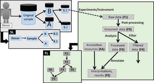 Different types of data lineage information captured by EGDMS. Box SL shows relationships between a donor, the original sample and sub-samples. As the sample was obtained from the donor and samples B.1 and B.2 are aliquots of the original sample, this is a natural existing relationship. Box FL shows relationships between files processed through a series of analyses. The data in the groomed data file (F2) is derived from the raw data files (F1). The annotation resources (FA) are used when generating file F5 from file F3. When this information is recorded as provenance, data lineage can be constructed as shown in the figure. Solid lines indicate the direction of the flow, where the arrow points from parent to child. Dashed lines indicate the link between the samples and the data generated using them.