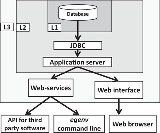 The basic components, their connectivity and the security levels of the EGDMS. Embedded JavaDB is the default DBMS and resides in the level one (L1) security container. The database is configured in non-network accessible mode and the users cannot directly interact with the database. The application server is in level two (L2) security and communicates with L1 using the JDBC API and maintains a connection pool for the applications to access. The application server should be started by the same process as the database server and requires a password to connect to the database server. The application server limits access by requesting a user name and a password. It also manages user roles (edit, search only etc.). The level three (L3) security is currently not implemented by the EGDMS, and is part of the server hosting it and represents a system firewall. The web-services and the web interface are accessible from the open ports of the host server. The egenv tool with a web-service client resides outside the security barriers and requires authentication to access the resources.
