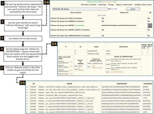 Searching tags. Searching for experiments that have used the ‘Infinium HD Assay’ (1). As the system is not extracting information directly from files, the search results are produced by using the tags. The term ‘Infinium HD Assay’, which is a commercial term used to identify a genotyping assay, was the search query in this case (2). Choosing ‘Used tags’ will search through tags currently used in contrast to all the tags available in the system (as shown in Figure 8). The user opted out the exact match so the search algorithm will look for all tags containing the term ‘Infinium HD Assay’ (e.g. ‘Infinium HD Assay Ultra’). Once the search is finished a results page will be generated as shown in the screen shot (2-A, two reports were found with this tag). Then the ‘Details link’ could be used to display full details of the result (3). On the details page, the reports found are shown along with a link to display a complete list of tags (4). The ‘Find relevant’ links in the ‘Filter using table graph’ column can be used to get lists of files that are related through lineage information (4-A). Files that are related to the specific ‘Infinium HD Assay’ report can thereby be retrieved, even though these file were not directly tagged with the term. In this case, the ‘Relevant FILES’ (5-A) include image files, spreadsheets and assay-related data files.