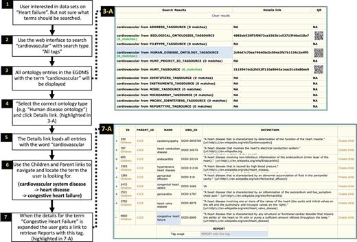 Searching ontology hierarchy. Users unaware of exact controlled vocabulary terms for what they are looking for can search through all tags available in the system. The user in this example is looking for datasets from ‘heart failure’-related studies (1). By providing the term ‘heart failure’ and selecting ‘All tags’ as search criteria (2), the EGDMS finds all occurrences of this term in all tags. The results will contain terms from different tag sources and may also include terms that are currently not used to tag any files (3-A). Browsing through the results, this user selects the tags from the ‘Human disease Ontology tag source’ (highlighted in 3-A) (4). The user can then use ‘Children’ and ‘Parent’ links to explore the tag hierarchy to find if a relevant parent or a child term has been used to tag files (6). In this case, the user navigates to ‘Congestive heart failure’ by selecting child terms of cardiovascular system disease and then heart disease. By expanding (+) to show the details for this term (7, highlighted in 7-A), the user discovers that there is a report that has been tagged with this term. This report can further be explored to locate files and samples grouped under the report (Figure 7).