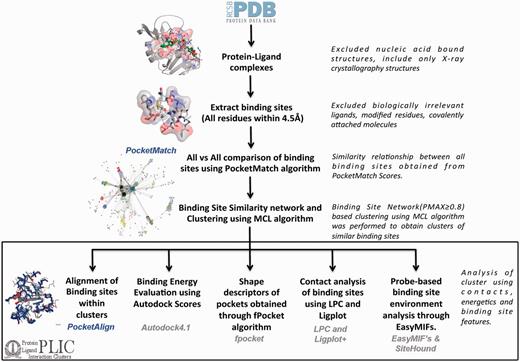 PLIC database workflow. The flowchart illustrates the different steps involved in the construction of the PLIC database. All the protein–ligand complexes are downloaded from the PDB, and binding sites (comprising all the residues that are within 4.5 Å of any ligand atom) are extracted. Only the biologically relevant ligands are selected that resulted in 84 846 binding sites. An exhaustive all-versus-all comparison of these 84 846 binding sites is performed using PocketMatch, and a binding site similarity network is constructed at a PMAX cutoff of 0.8. Network-based clustering of binding sites is performed using the MCL algorithm to obtain clusters of similar binding sites. All the different attributes that are calculated for the interactions within the clusters along with computational tools that were used to derive them are mentioned in the box.