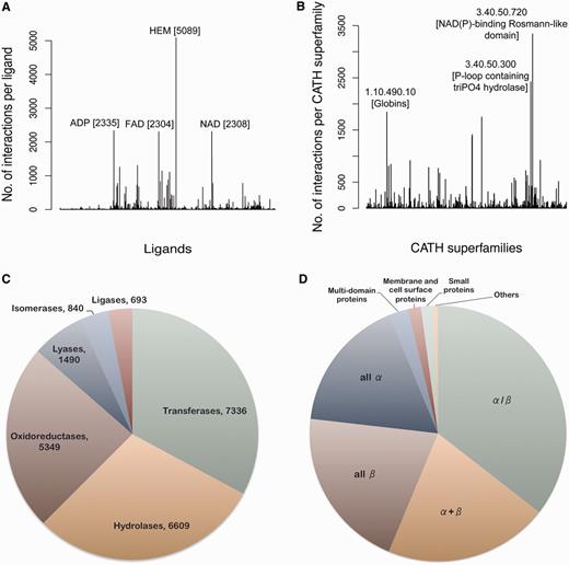 Database statistics. (A) The frequency of different ligand-binding sites present in the database is represented in the form of a histogram. The most populated ligands are labeled along with their frequencies. (B) The number of interactions present per CATH superfamily is depicted in the form of a histogram. The CATH superfamilies associated with most number of ligands are labeled. The pie charts depict the distribution of different (C) enzyme classes and (D) SCOP classes present in the database.