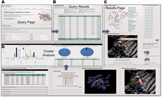 PLIC database server. (A) Snapshot of the query page for the PLIC database. (B) The page displaying the results of the query in the tabular form containing information about the name of the binding site, protein, ligand, UniprotID, EC number and CATH superfamily ID. (C) The results page displayed after a specific binding site name is clicked. The results page consists of Jmol plug-in for visualization of interactions, clusters indicating high-energy interaction zones for different probes, alignment of binding sites within the cluster, similar sites with PocketMatch scores, cluster information and various attributes associated with the interaction. (D) Barplot illustrating the distribution of various residues within the binding site environment of the cluster and box plots indicating the variations observed in different attributes of interactions within the cluster are displayed on the cluster analysis page.