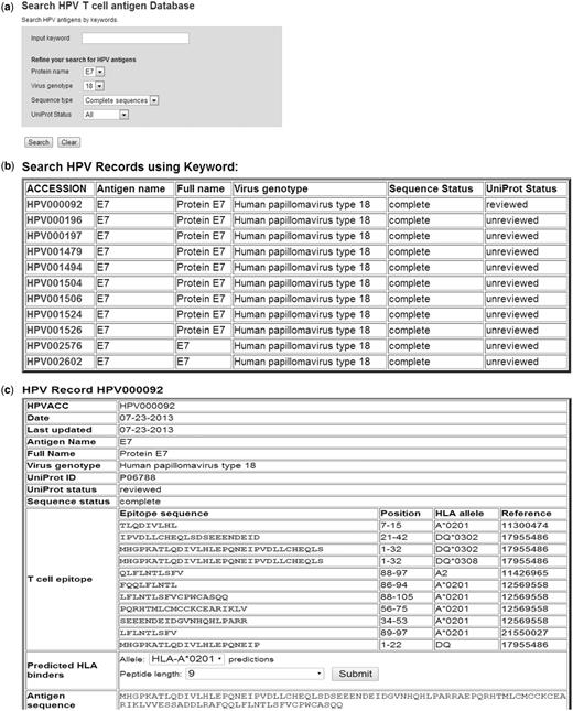 Screenshots of HPV antigen search tool and result pages. ( A ) HPV antigen search page. ( B ) The search result page—the accession numbers in the result table are hyperlinked to HPV antigen information pages. ( C ) HPV00092 (UniPort ID: P06788) information table.