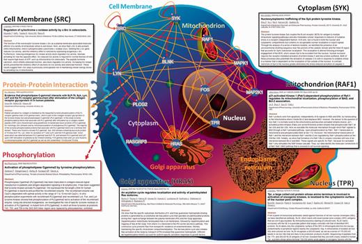 A case study of network analysis with the information of protein subcellular localization.