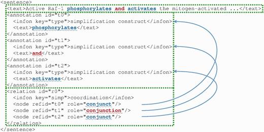 An example of sentence simplification annotation in BioC format. The coordination contains two conjuncts (‘phosphorylates’, ‘activates’) and one conjunction (‘and’). Some attributes, like the location elements, are not shown for the sake of space.