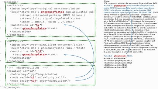 An example showing ‘equ’ (equivalence) relations in iSimp-generated BioC file.