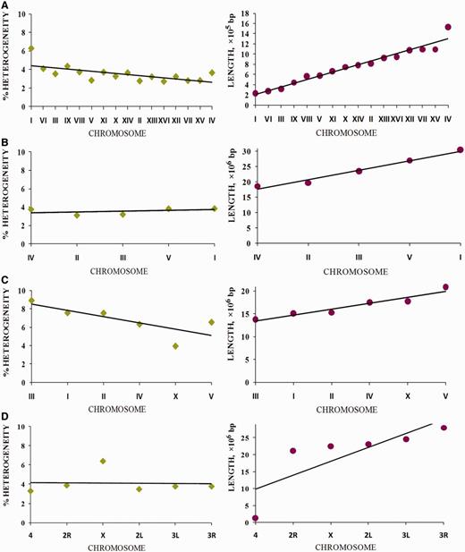Coverage of chromosomes of analyzed organisms by regions of reliable heterogeneity (latent periodicity). For each organism, S. cerevisiae ( A ), A. thaliana ( B ), C. elegans ( C ) and D. melanogaster ( D ), chromosomes are ordered by ascending length, as shown in the respective images on the right. Solid straight lines show trends. Percentage of latent periodicity regions on each chromosome is determined at the nonredundant level of records in HeteroGenome. See the text and Figure 6 for details.