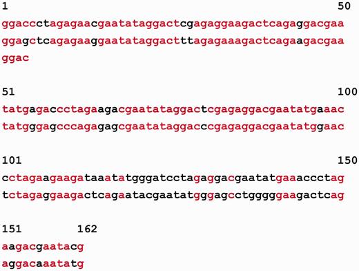 Alignment of DNA sequence from the MMsat database (AAU92263.1) is shown according to the estimate of 162 bp for latent period, which was obtained with the help of SS-approach. Matching characters in the positions of the tandem repeat of the two copies are shown in red.