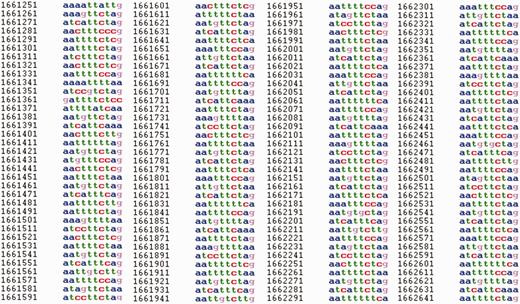 Fragment of a sequence on chromosome I (1 661 021–1 663 249 bp) of C. elegans in HeteroGenome for which a latent profility of 10 bp was revealed. For displayed fragment pl ( 10 ) = 0.77