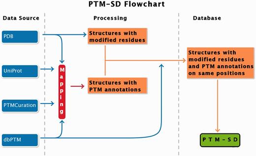  PTM-SD flowchart. Four different databanks are used to generate the data. The protein structures are taken from PDB ( 17 ), while PTMs annotations are extracted from dbPTM ( 14 ) and PTMCuration ( 20 ). UniProt sequences ( 21 ) are aligned against the extracted PDB sequences. Thus, we obtained protein structures with PTM annotations and modified residues at exact same positions. At last a semantic mining was made to accept or not the correspondence between the modifications and the annotations. 