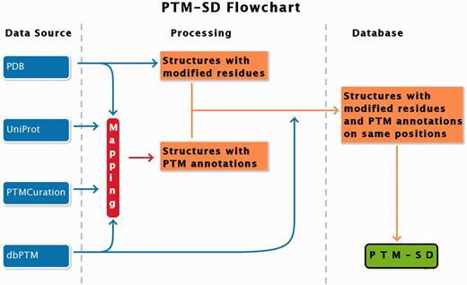 PTM-SD flowchart. Four different databanks are used to generate the data. The protein structures are taken from PDB ( 17 ), while PTMs annotations are extracted from dbPTM ( 14 ) and PTMCuration ( 20 ). UniProt sequences ( 21 ) are aligned against the extracted PDB sequences. Thus, we obtained protein structures with PTM annotations and modified residues at exact same positions. At last a semantic mining was made to accept or not the correspondence between the modifications and the annotations.