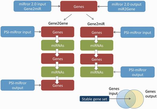 Major steps in executing the PSI-miRror application for the Gene2Gene and Gene2miR modes. The PSI-miRror input may be a list of genes from the miRror2.0 input or output. It is an iterative application that is activated in two full cycle modes (left) or in an incomplete cycle (right). The Venn diagram for the input and the output molecules is presented. The shared section represents the gene list that was unchanged during the PSI-miRror iterations. The removed genes from the input set and the added genes to the output set are listed. PSI-miRror also supports miR2Gene and miR2miR modes.