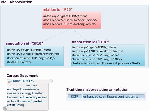 A graphical representation of abbreviation annotations in BioC format. The excerpt from one of the corpus documents contains multi-segmented abbreviation long forms. The traditional ShortForm, LongForm pairing is shown in the figure, as well as the infons detailing BioC annotations for an abbreviation, and the relation between them, with the corresponding precise text offsets.