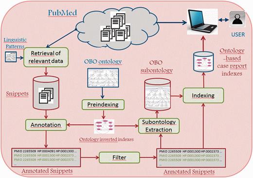 Semantic annotation and indexing of case reports from PubMed.