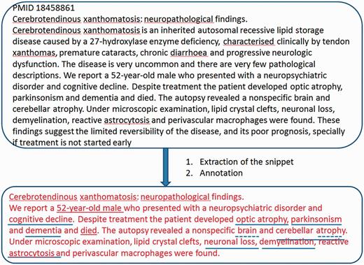 Example of extraction of a snippet of information from an abstract and its subsequent annotation.
