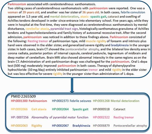 Example of annotation generated by the OBO annotator, using the HPO ontology.
