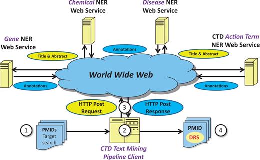 Web service-based NER logical design. Under a Web service-based conceptual design, (1) a list of potentially relevant PubMed IDs (PMIDs) is secured via a search of PubMed, typically for a target chemical. (2) The list is processed asynchronously by batch-oriented processes. Rather than performing NER using locally installed NER tools, (3) HTTP calls containing text passages are made to remote Web services; the results of NER are used as a key component in document ranking algorithms. (4) PMIDs are then assigned a DRS by the document ranking algorithms.