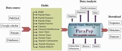 Architecture of ParaPep database.