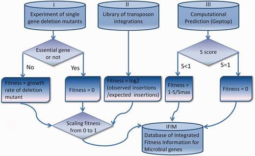 Details of data collection and processing for the IFIM database.