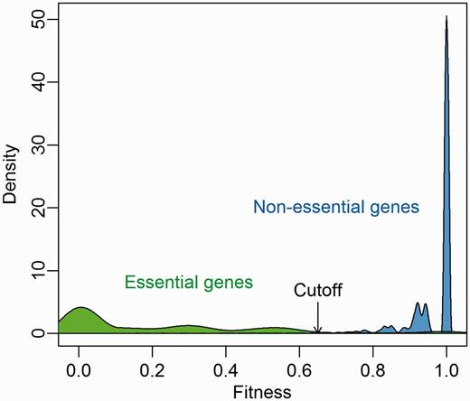 Predicted fitness distribution of essential and nonessential genes in 21 bacterial strains. Essentiality information was obtained from the DEG database.