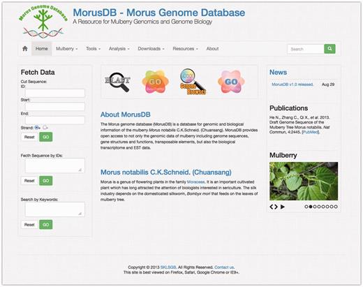 A snapshot of the MorusDB home page. The home page describes the mulberry genome sequencing project and provides links to all other parts of the website.
