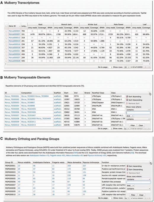  Screenshots of analyses on M. notabilis transcriptome, TEs and OPGs. Gene expressions in the five tissues ( A ), TEs ( B ) and OPGs ( C ) of the M. notabilis can be searched and filtered by keyword or number in each column of the tables. 