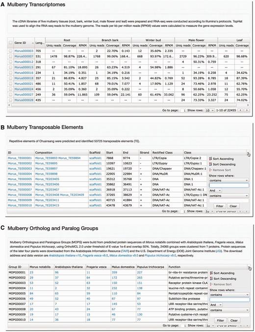 Screenshots of analyses on M. notabilis transcriptome, TEs and OPGs. Gene expressions in the five tissues ( A ), TEs ( B ) and OPGs ( C ) of the M. notabilis can be searched and filtered by keyword or number in each column of the tables.