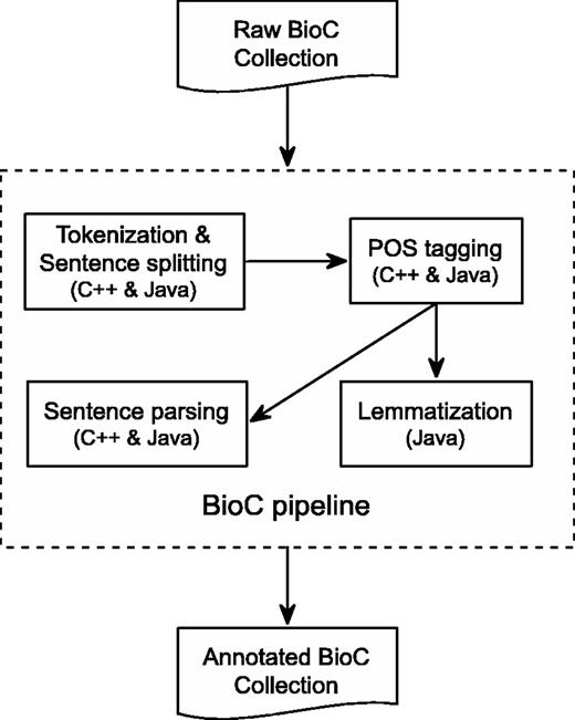 BioC Text-preprocessing Pipeline. All components are available in both C++ and Java, except for Lemmatization, which is only available in Java.