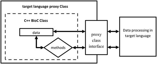Access C++ BioC class through target language proxy class wrapper interface.