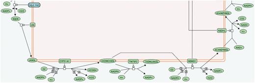 Pathway diagram segment using abbreviated small molecule names.