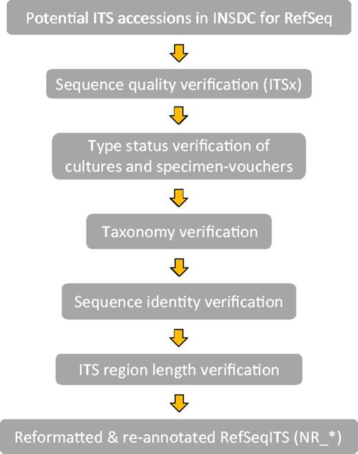 Workflow of the ITS verification for RTL ITS.