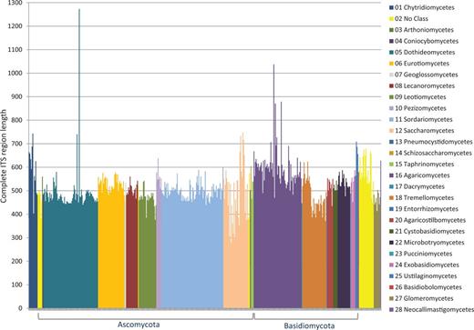 ITS length variation of complete ITS regions in the RTL data set according to class.