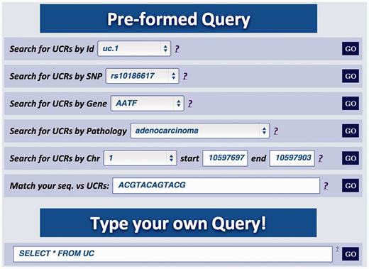 Multiqueries text box. Multiple queries can be performed typing the names of selected UCR SNP, gene, pathology, genomic location or a specific nucleotide sequence. It is also possible to directly interrogate UCbase using MySQL script language.