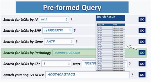 Result for Pathology query. This output shows the UCRs involved in a particular pathology correlated to the genes in which the UCRs are located.